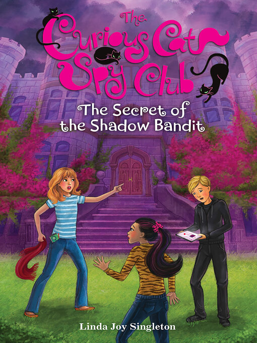 Title details for The Secret of the Shadow Bandit by Linda Joy Singleton - Available